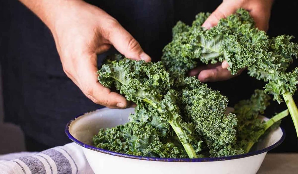 Kale is high in Vitamin A, making a great food to add to your diet to speed up wound healing